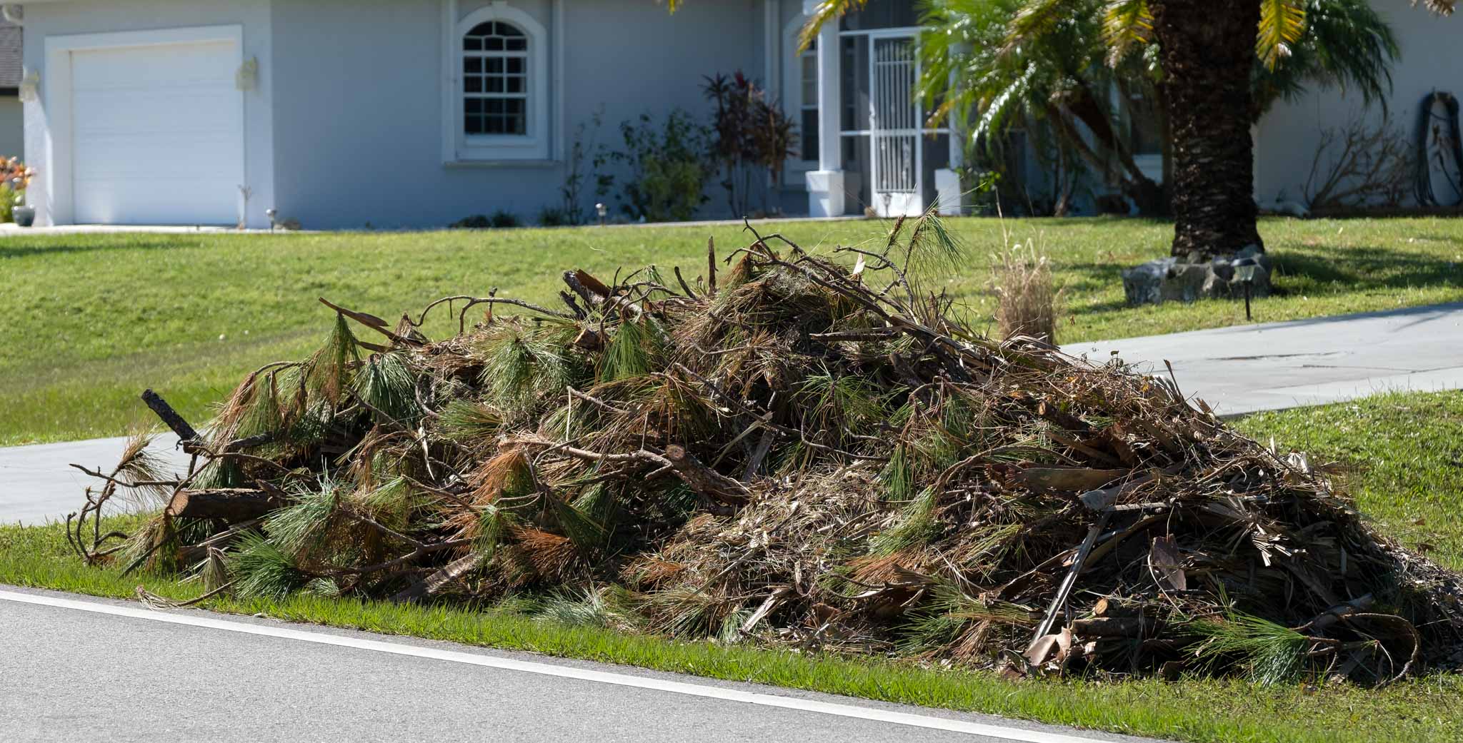 A heavy accumulation of yard debris, cut tree branches, and lawn clippings sitting in a residential backyard, ready for outdoor cleanout services in St. George Utah.